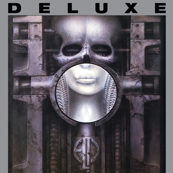 Brain Salad Surgery